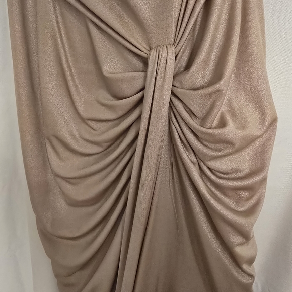 Tadashi Shoji Champagne Gold Maxi Dress Small - Picture 4 of 14
